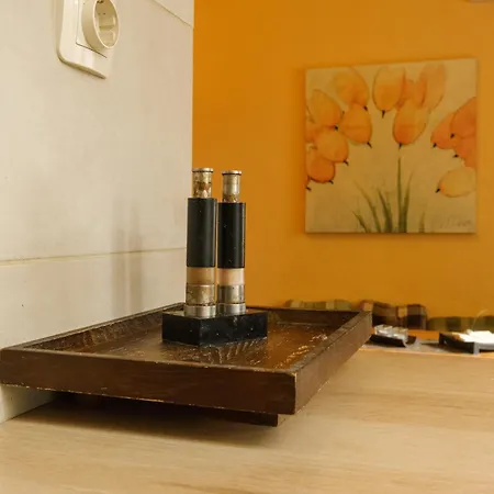 Center 2-bedroom Plovdiv